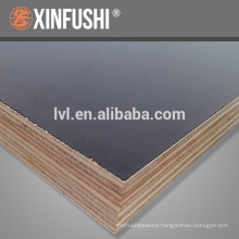 coated plywood